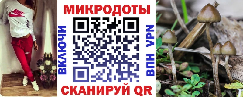 Купить  Соликамск  Галлюциногенные грибы Psilocybe 